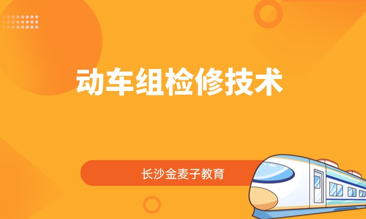 动车组检修技术