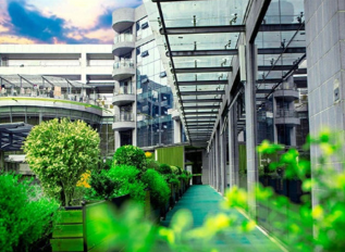 2025 高职单招指南：不同考生群体适配方案与集训班特色